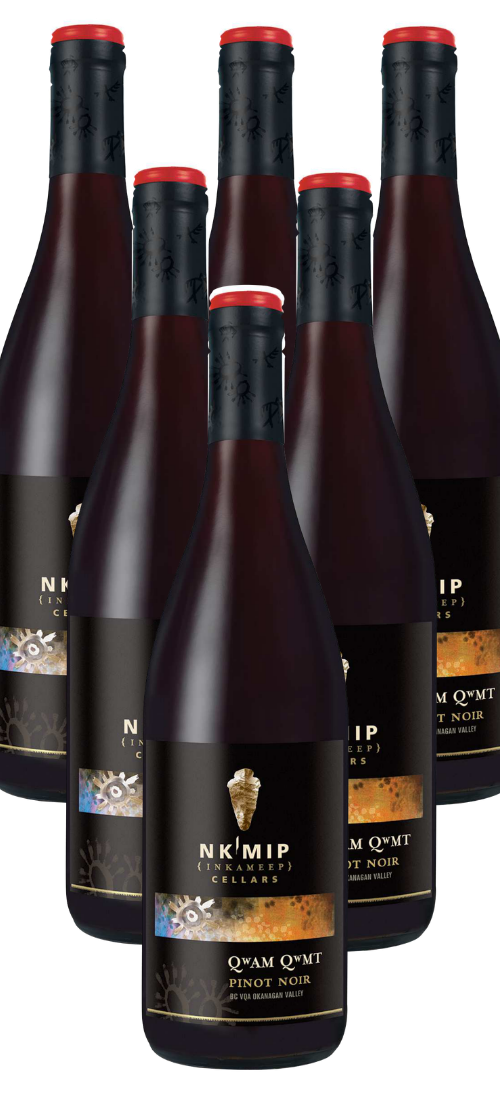 Qwam Qwmt Pinot Noir Vertical 6 Pack